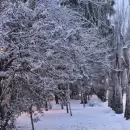 Domingo polar, nieve en el llano y temperaturas bajo cero por varios días