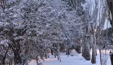 Domingo polar, nieve en el llano y temperaturas bajo cero por varios d�as