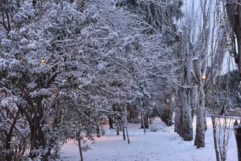 Frío en Mendoza