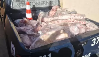 Carne decomisada