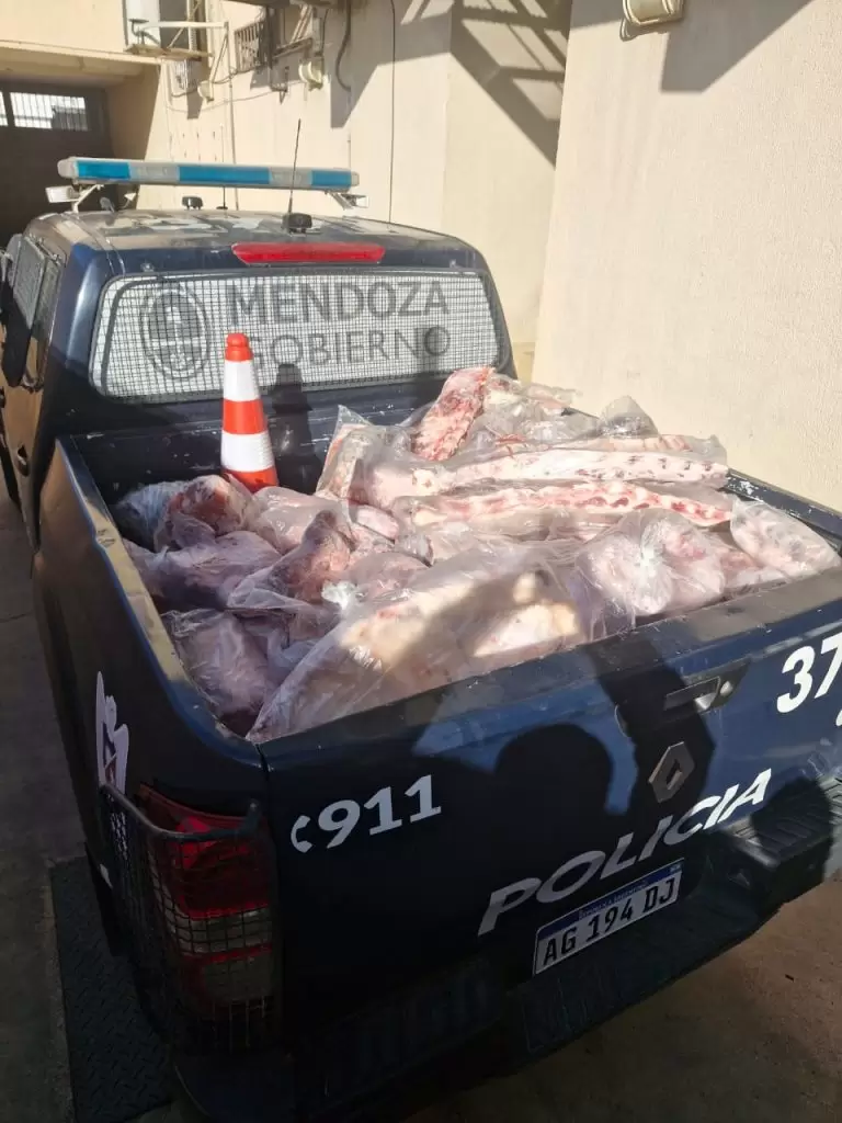 Carne decomisada