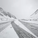 Nevadas hist�ricas en el Sur mendocino: se acumularon hasta 15 cent�metros de nieve