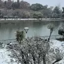 (Videos) La histórica nevada en Mendoza que quedó grabada en miles de celulares