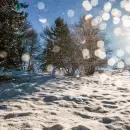 Frío invernal y posibles nevadas en el llano mendocino: precauciones y lo que hay que saber