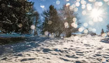 nieve