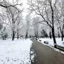 Ola polar en Mendoza: qu� pasar� con las clases y qu� dicen los pron�sticos sobre la nieve