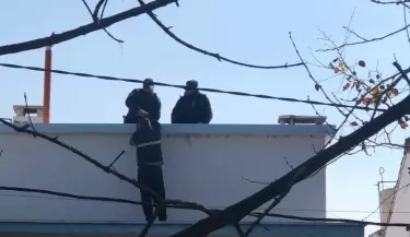 delincuente