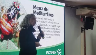 M�s de 450 docentes se capacitaron en prevenci�n de mosca del Mediterr�neo