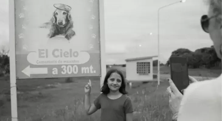 el mensaje