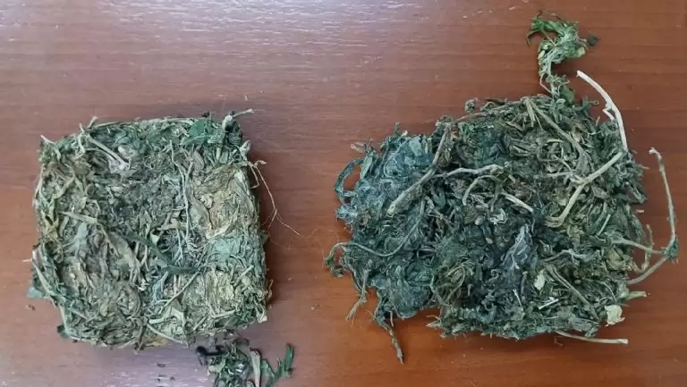 Droga secuestrada