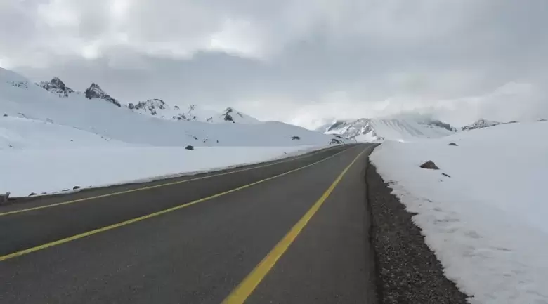 paso-pehuenche