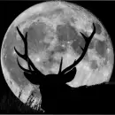 Luna Llena de Ciervo en julio: cu�ndo ser�, el origen de su nombre y qu� simboliza