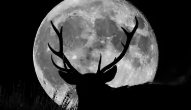 luna llena