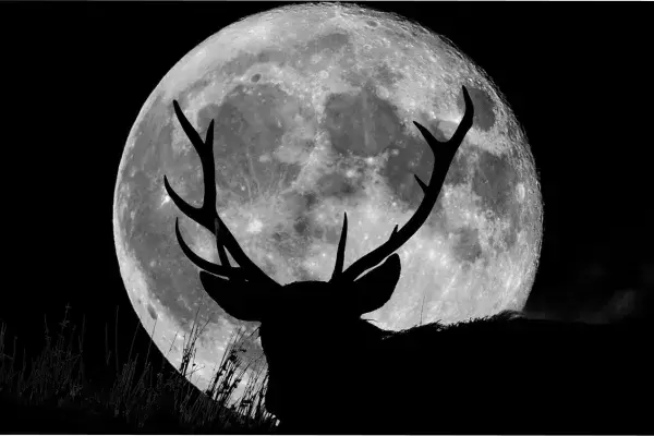luna llena