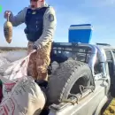 Detectaron caza furtiva en el Sur y la Polic�a incaut� restos de animales y herramientas ilegales