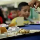 Un estudio revel� c�mo impacta la doble carga de malnutrici�n y cu�l es la situaci�n de Mendoza