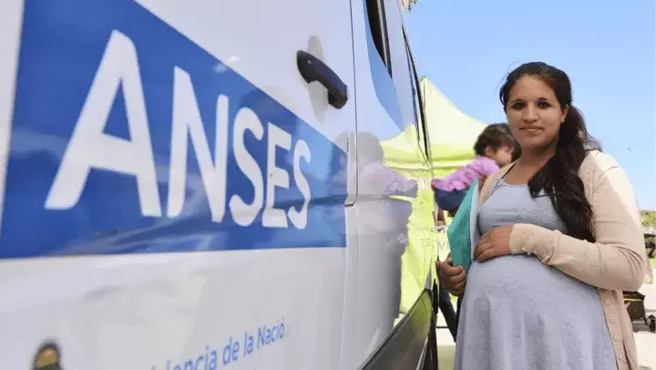 Anses embarazo