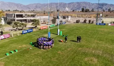 los pumas