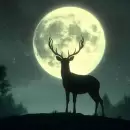 Luna llena del Ciervo del 10 de julio: qu� significa y c�mo aprovechar su energ�a espiritual
