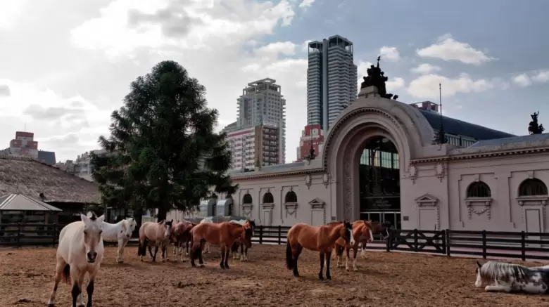 sociedad rural argentina
