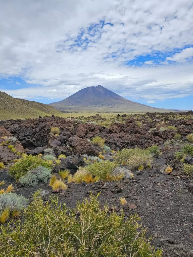 Turismo Mendoza