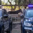 La Polic�a Rural frustr� un intento de caza ilegal en el Valle de Uco