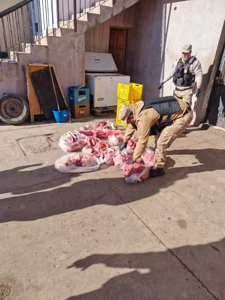 Carne