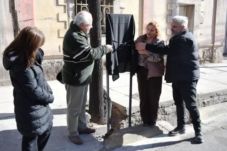 placa de quino