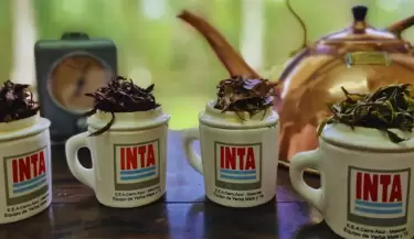 INTA