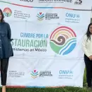 Cumbre ambiental en M�xico: Mendoza present� sus proyectos en un encuentro clave
