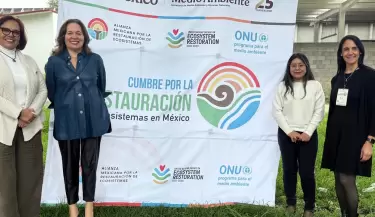 eva-mexico