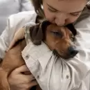 Luj�n de Cuyo lanz� �Patitas a Casa�, un blog para fomentar la adopci�n responsable de animales