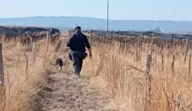 Operativos en Valle de uco