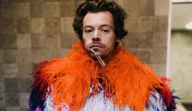 harry styles