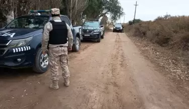 Caballo robado