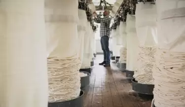 trabajadora trabajo empleo textil