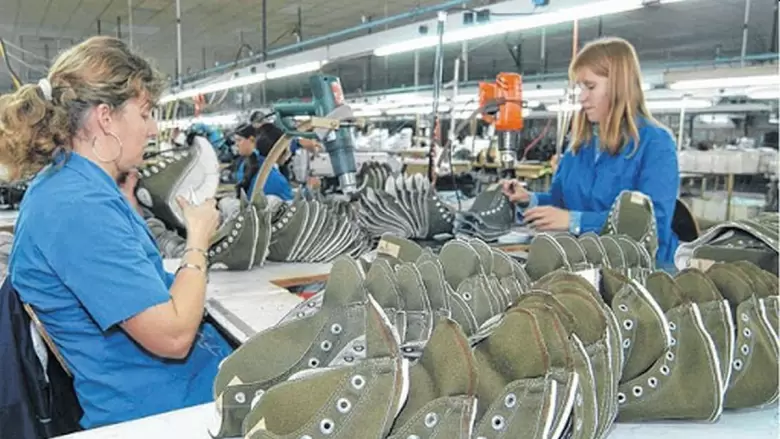 INDUSTRIA DEL CALZADO ZAPATILLAS