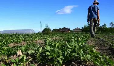 Mendoza promueve Buenas Pr�cticas Agr�colas para cuidar el ambiente y la salud