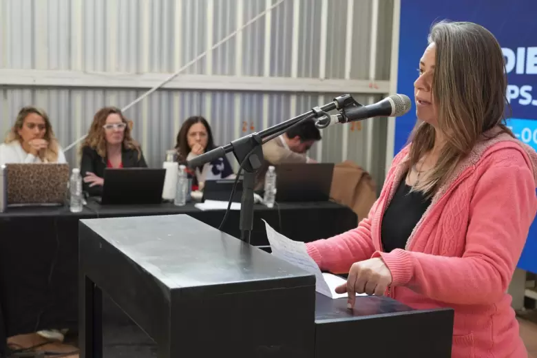 Audiencia publica