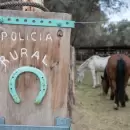 La Polic�a Rural decomis� casi 200 kilos de carne en mal estado y recuper� animales robados