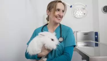 veterinaria