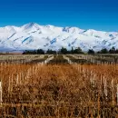 La monta�a mendocina, cine y vino se unir�n en una experiencia �nica