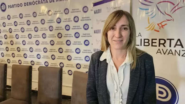 mercedes llano