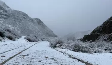 Manzano Historico