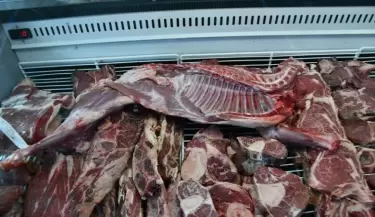 Carne ovina