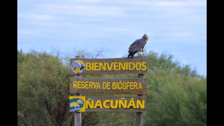 Reserva de Biosfera Ñacuñán
