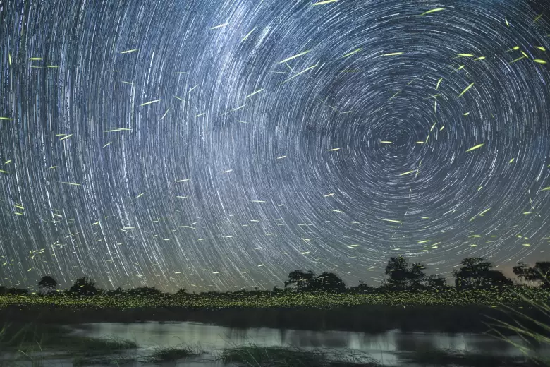 lluvia de estrellas