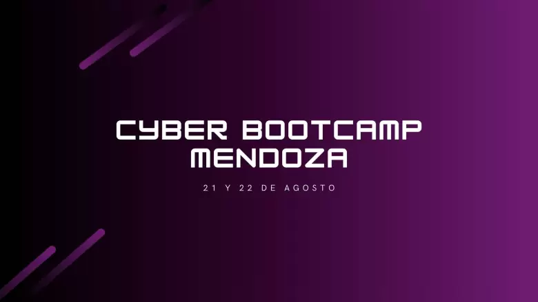 Ciberdelitos
