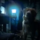 Mir� el primer tr�iler de "Good Boy", la pel�cula de terror contada desde la perspectiva de un perro