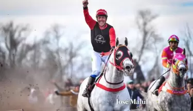 Don Nelson Caballo que ser� sacrificado